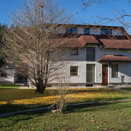Klin Apartma Bled